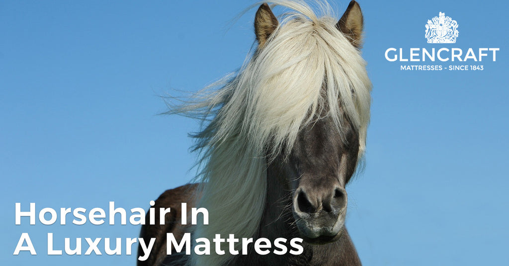 Horsehair in a luxury mattress