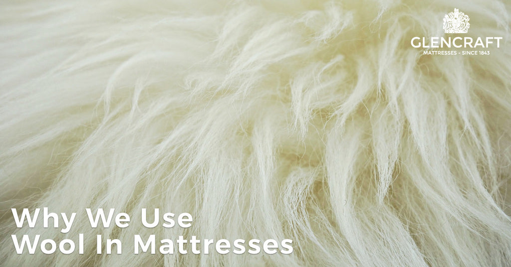 Why We Use Wool In Mattresses